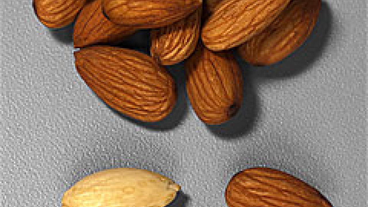 Photo: several almonds