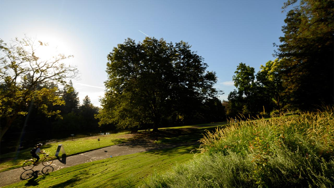 A bicyclist passes by Lake Spafford.