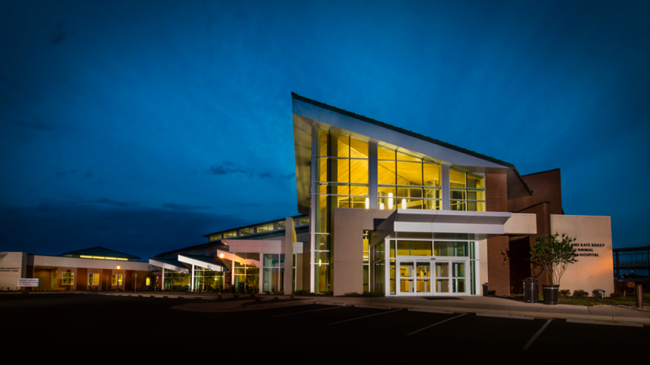 Small Animal Teaching Hospital, Auburn University, exterior at night