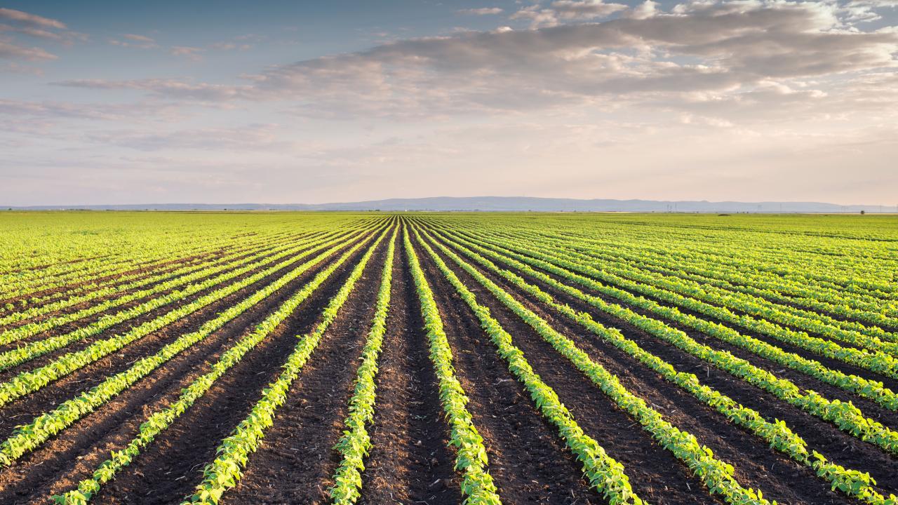 Collaboration with Bayer