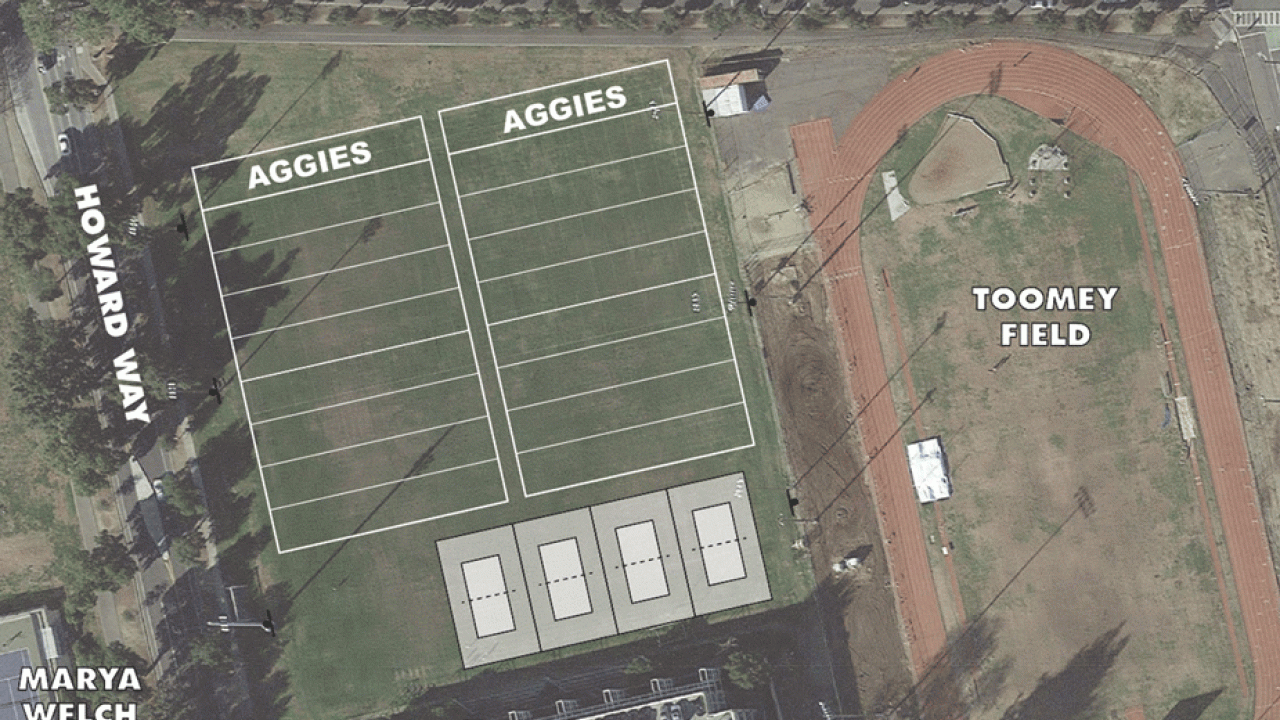 Map shows beach volleyball courts construction site.