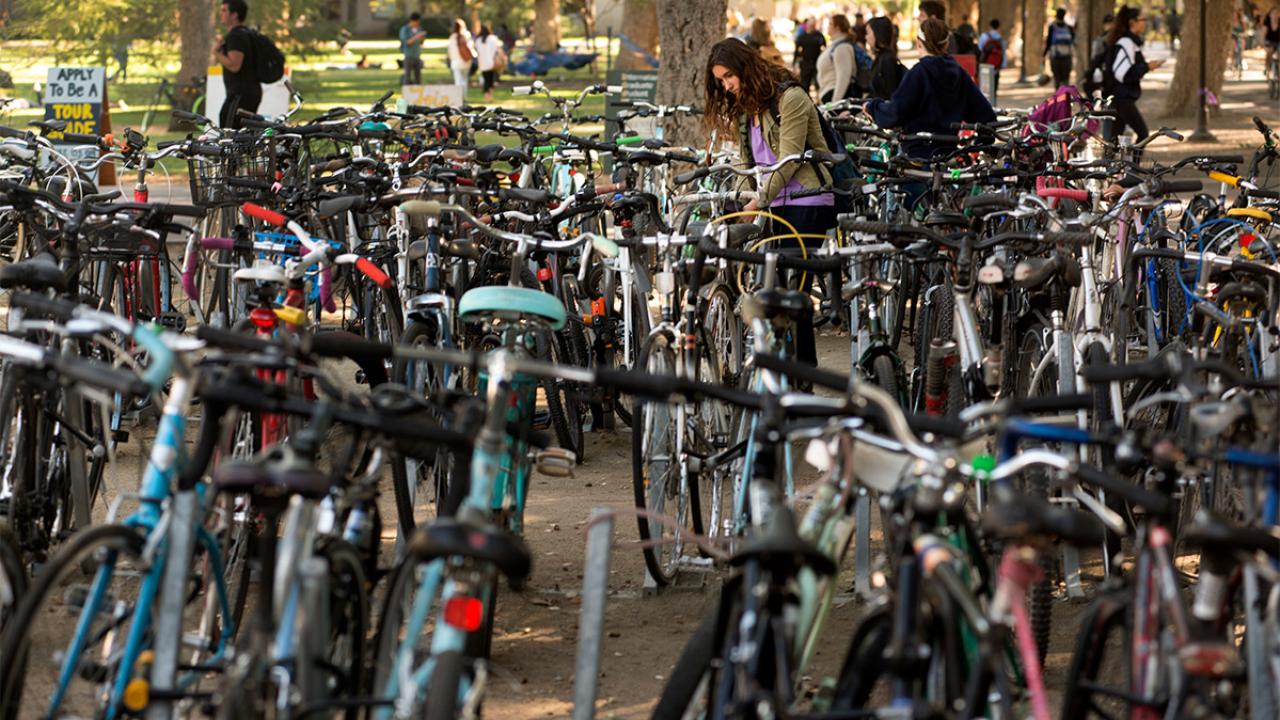 Bike racks outside the Coffee House.
