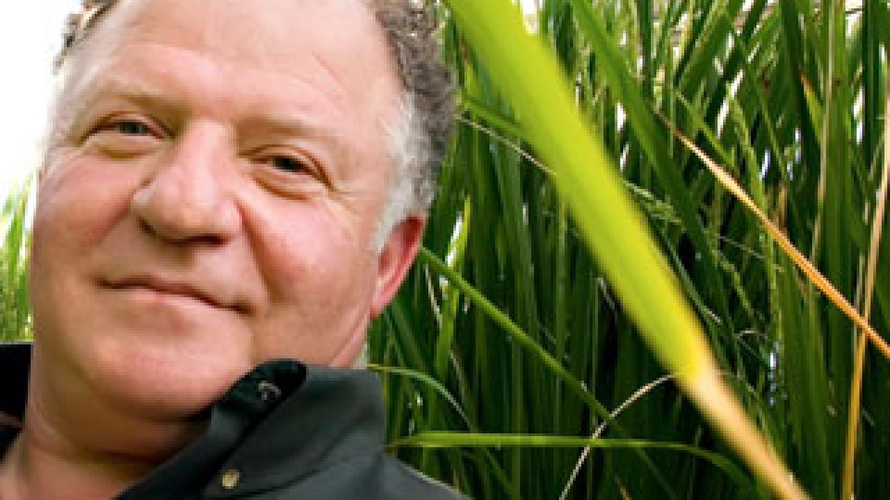 Eduardo Blumwald in greenhouse