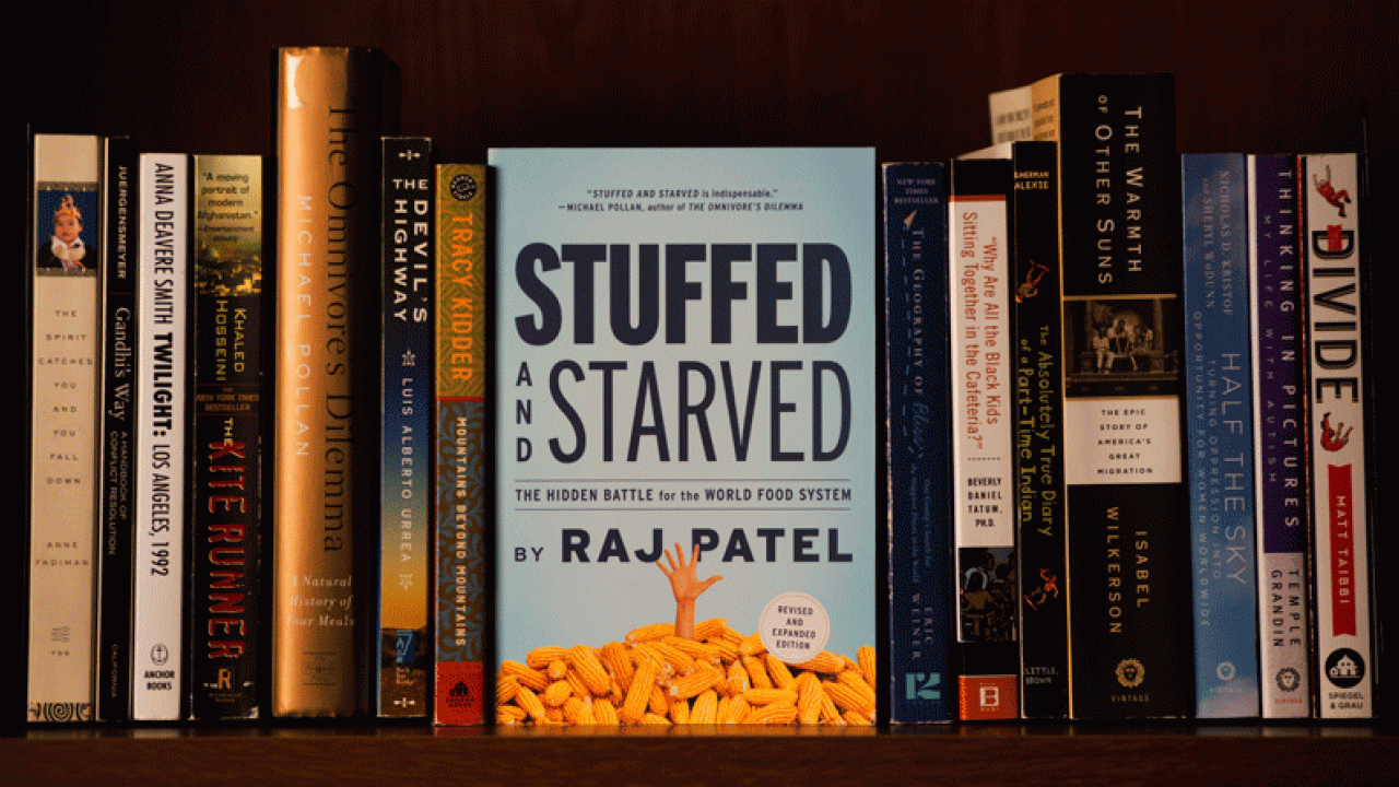 Photo: Books on shelf, 2002-17, "Stuffed and Starved" at center