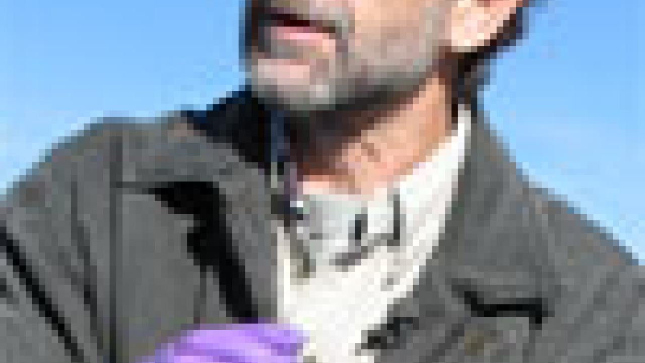 photo: man with purple plastic gloves and dead ducks