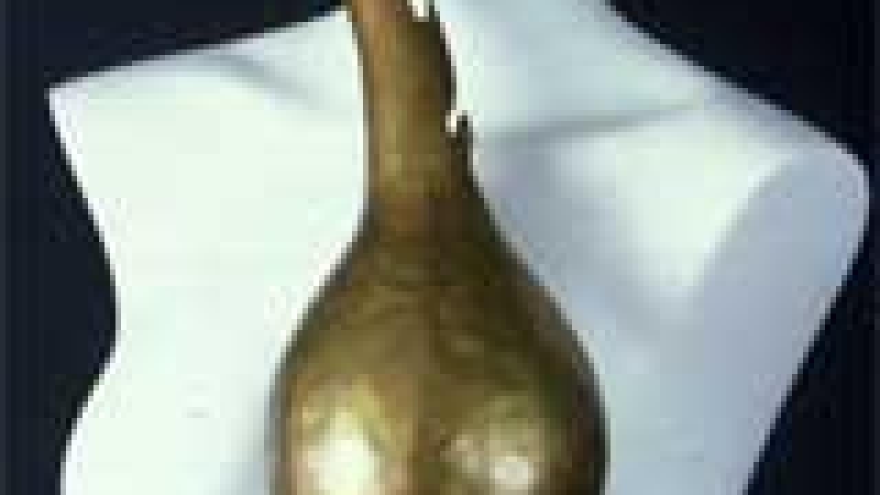 Photo: Mannequin with brass art over one breast