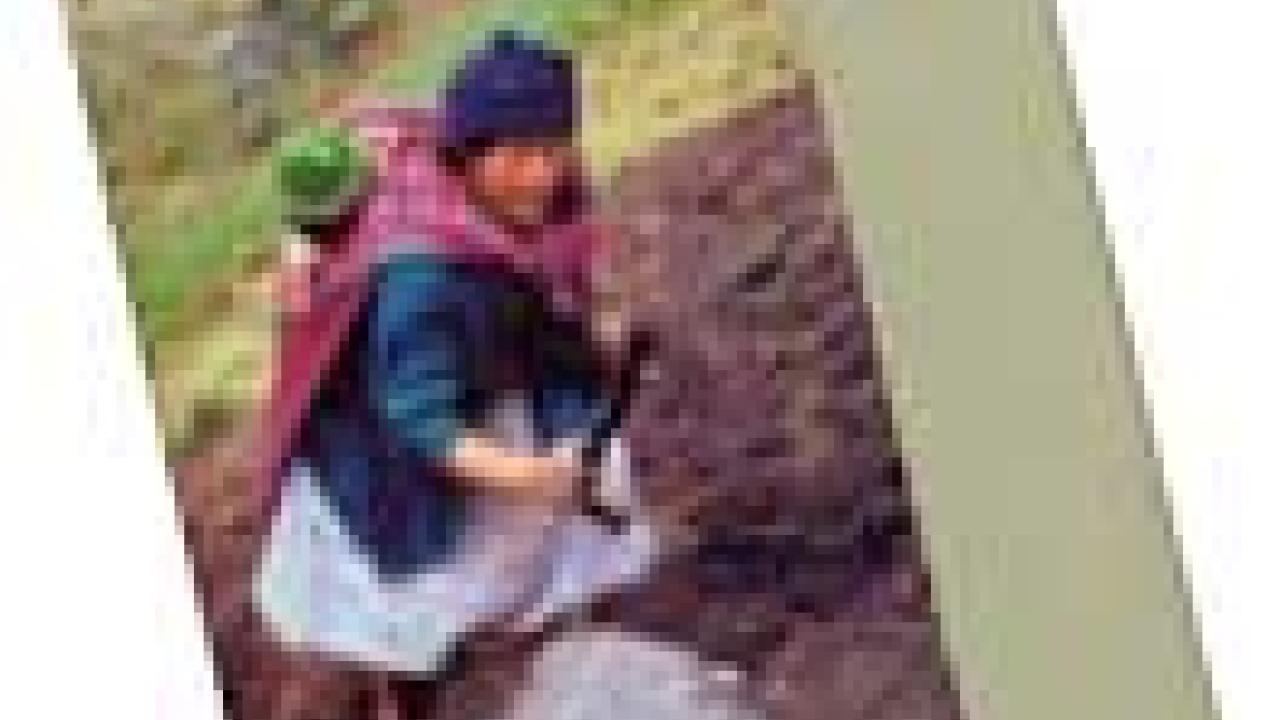 Photo: cover of Brush book with peasant harvesting potatoes