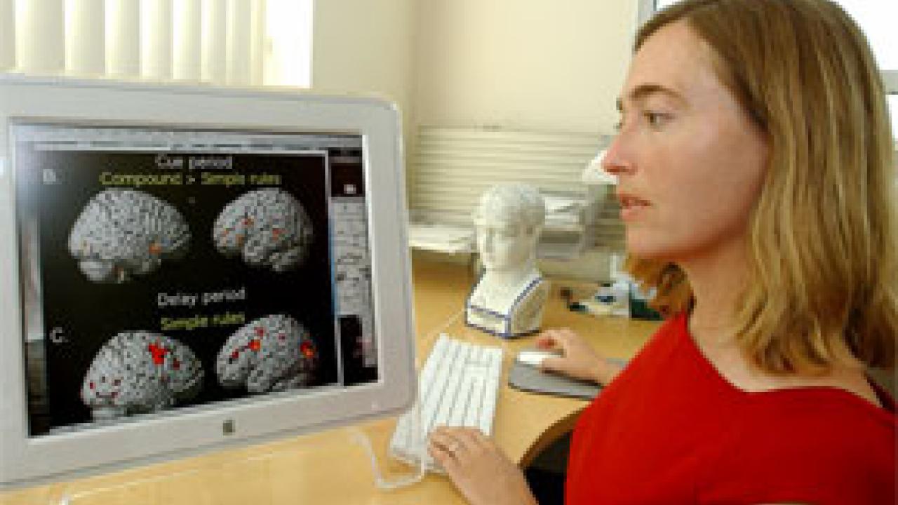 Psychology professor Silvia Bunge says that understanding how brains develop in children will yield more effective educational strategies in  classrooms.