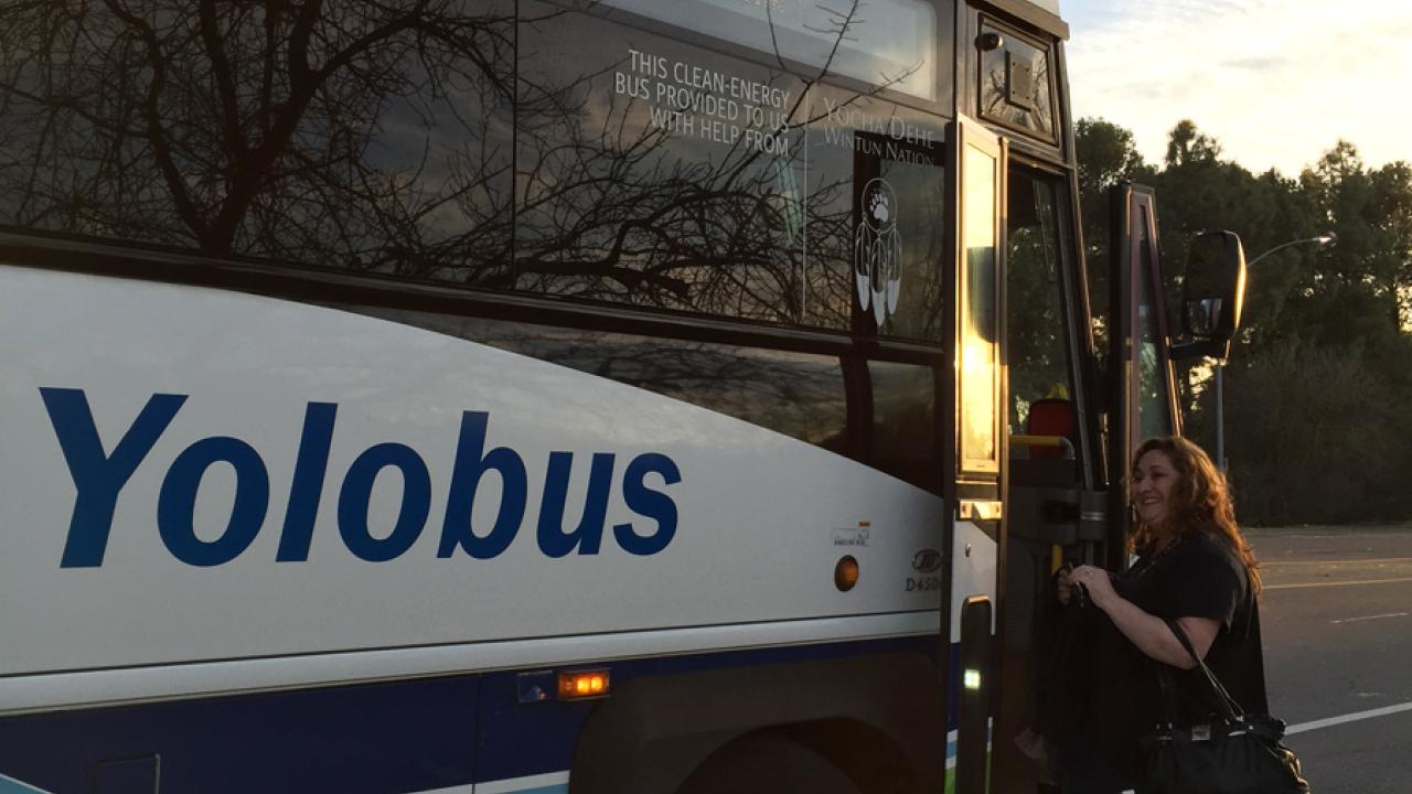 Photo of a Yolobus.