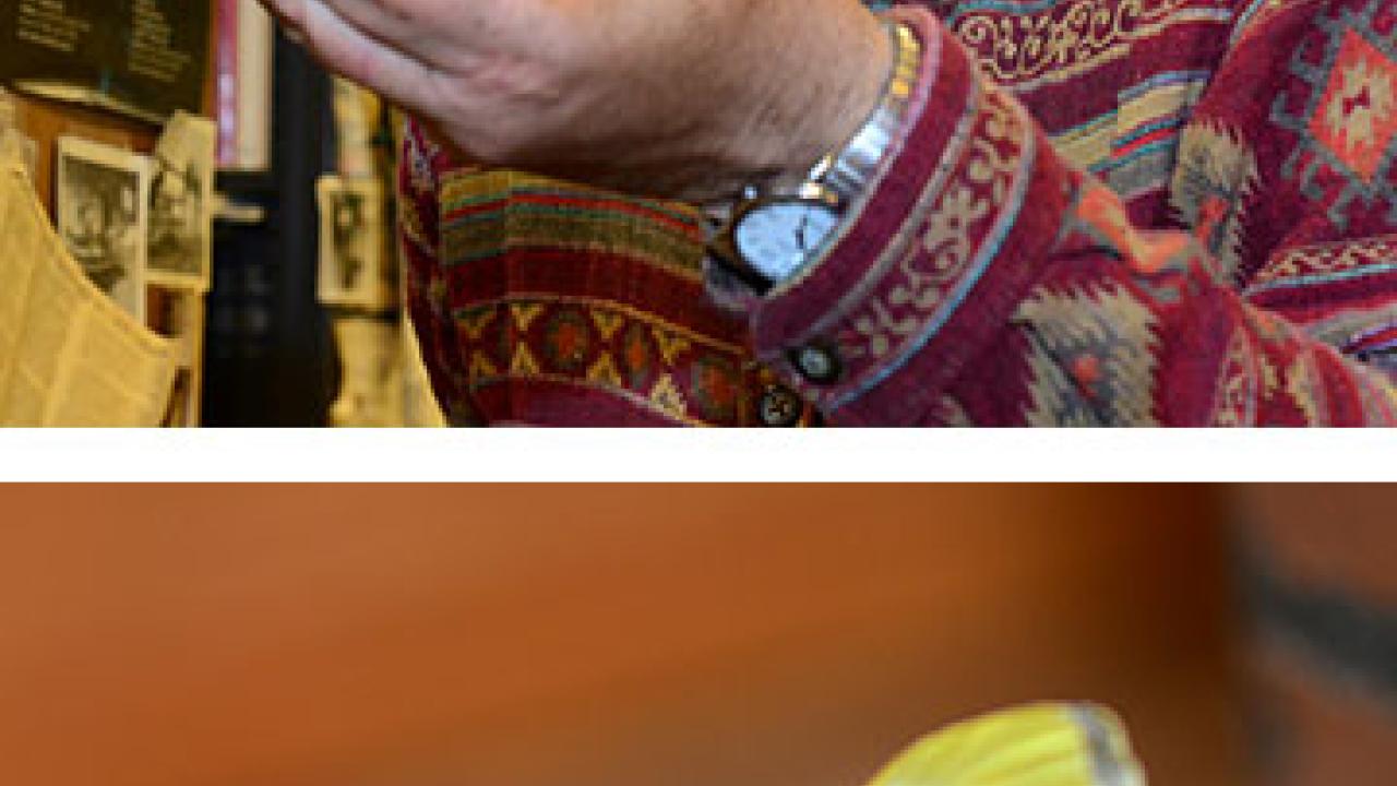 Photos (2): Professor Art Shapiro holds the 2014 contest winner, and a close-up of the butterfly, on Shapiro's finger