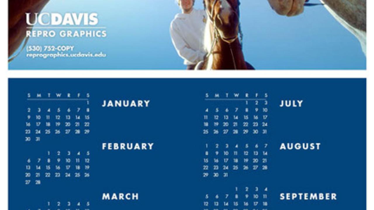 Graphic: One of Repro Graphics' calendar selections for 2011.