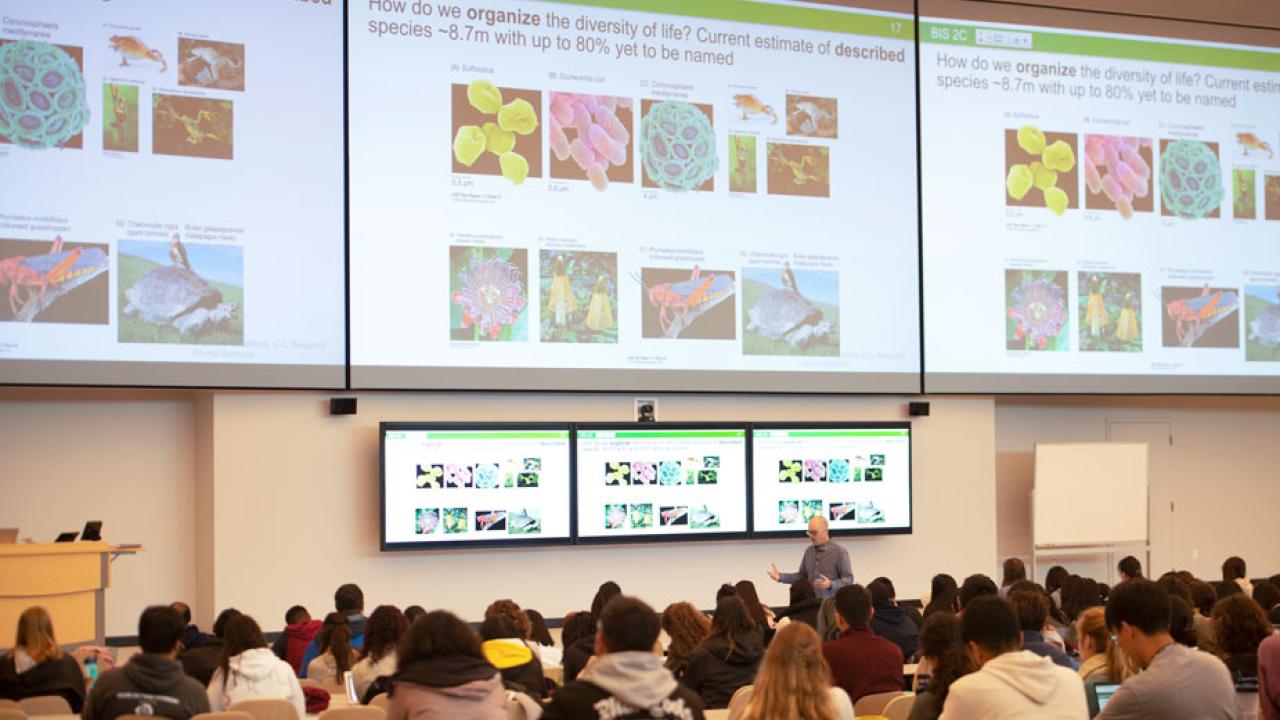 Massive screens show colorful slides in "Introduction to Biology" class.