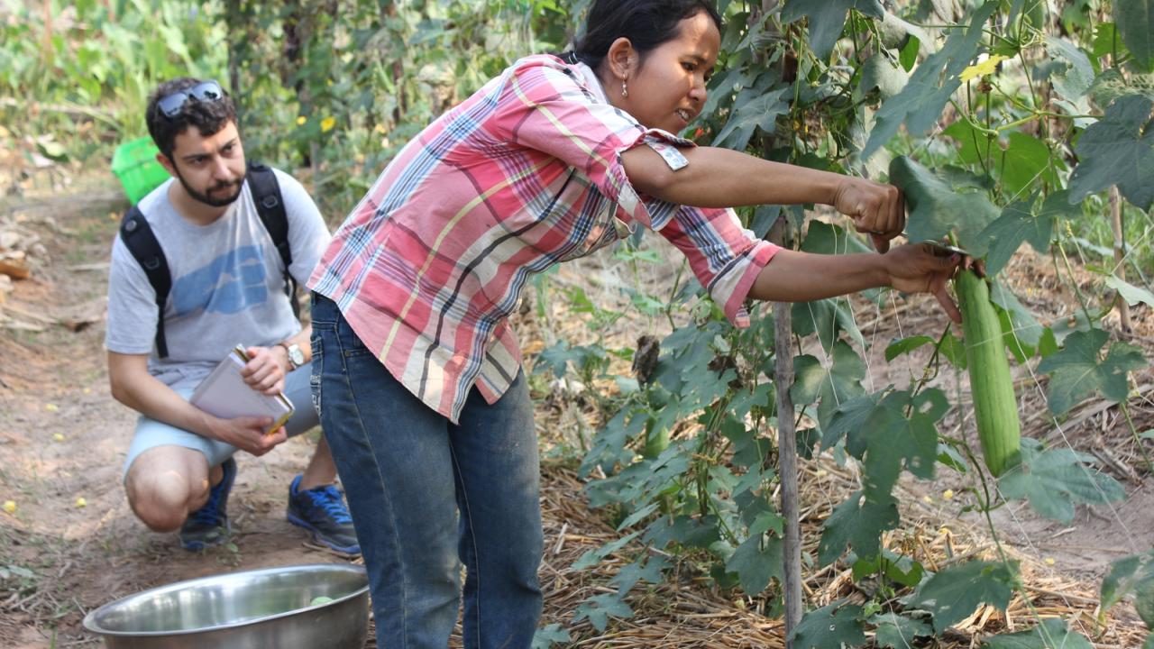 Angelos Deltsidis of UC Davis and farmer Eang Chakriya near Ampil Peam, Cambodia.