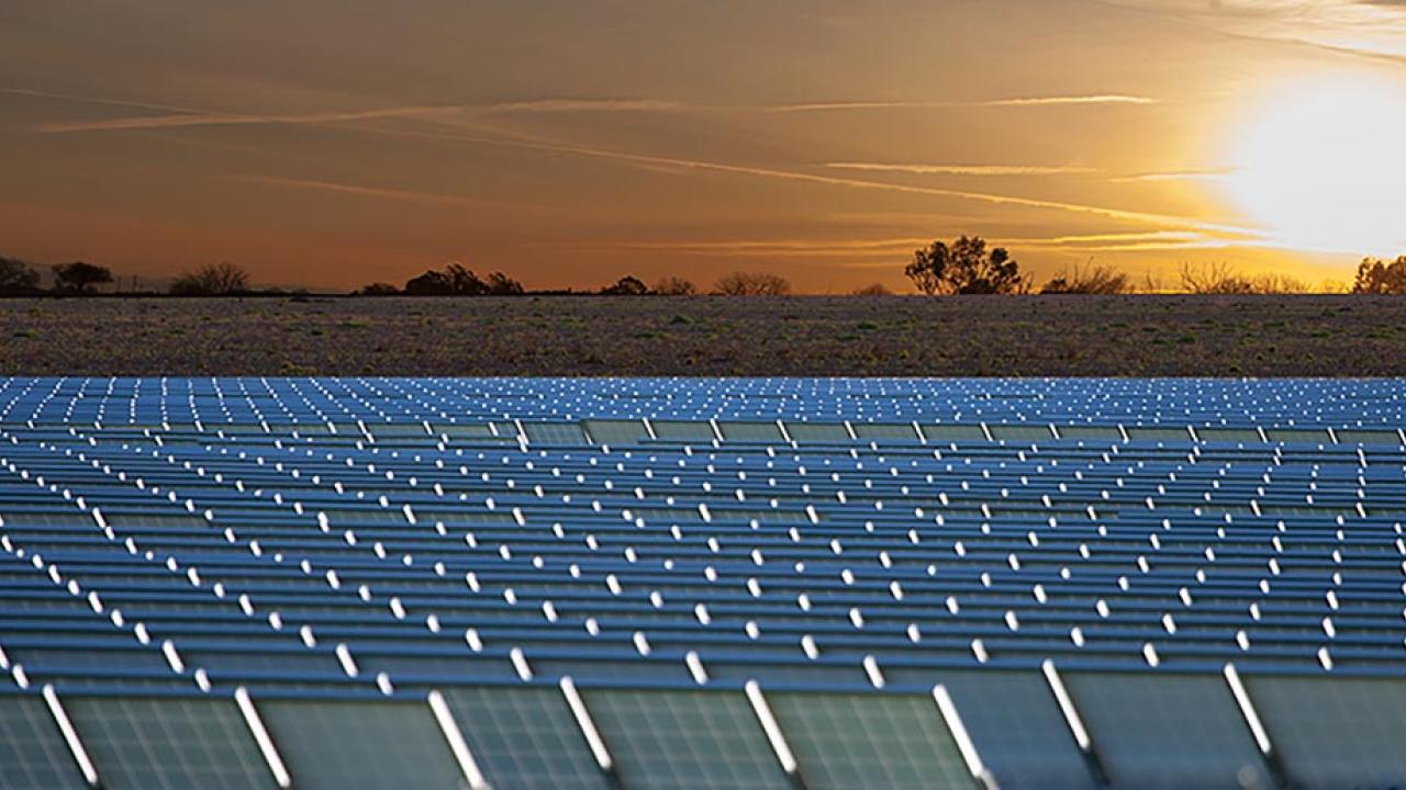 Photo illustration: Solar farm superimposed on UC Davis property, looking east into the sunrise