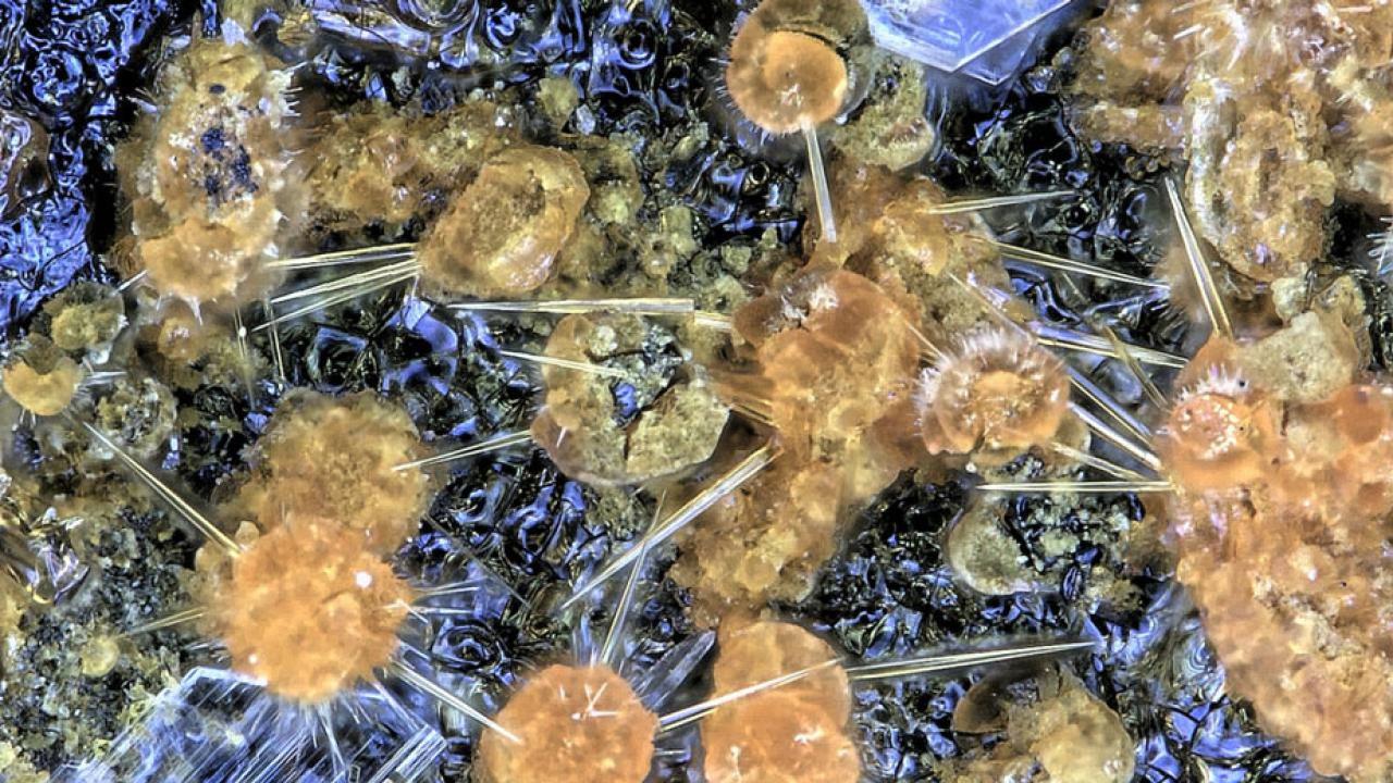 Close-up shot of glittery mineral