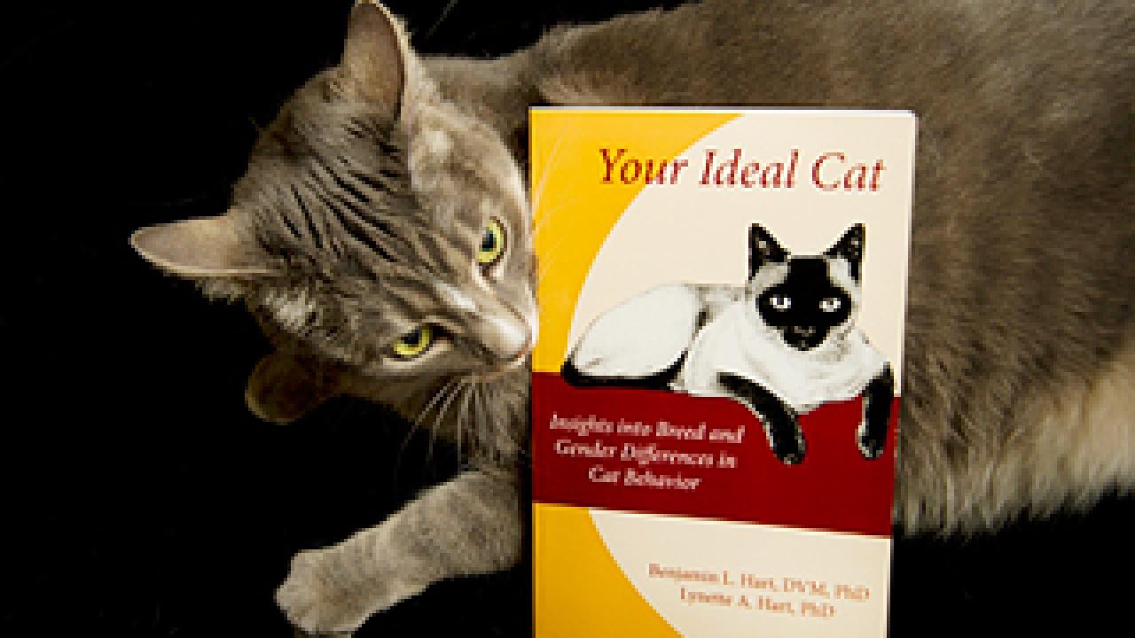 Cat checking out the book "Your Ideal Cat"