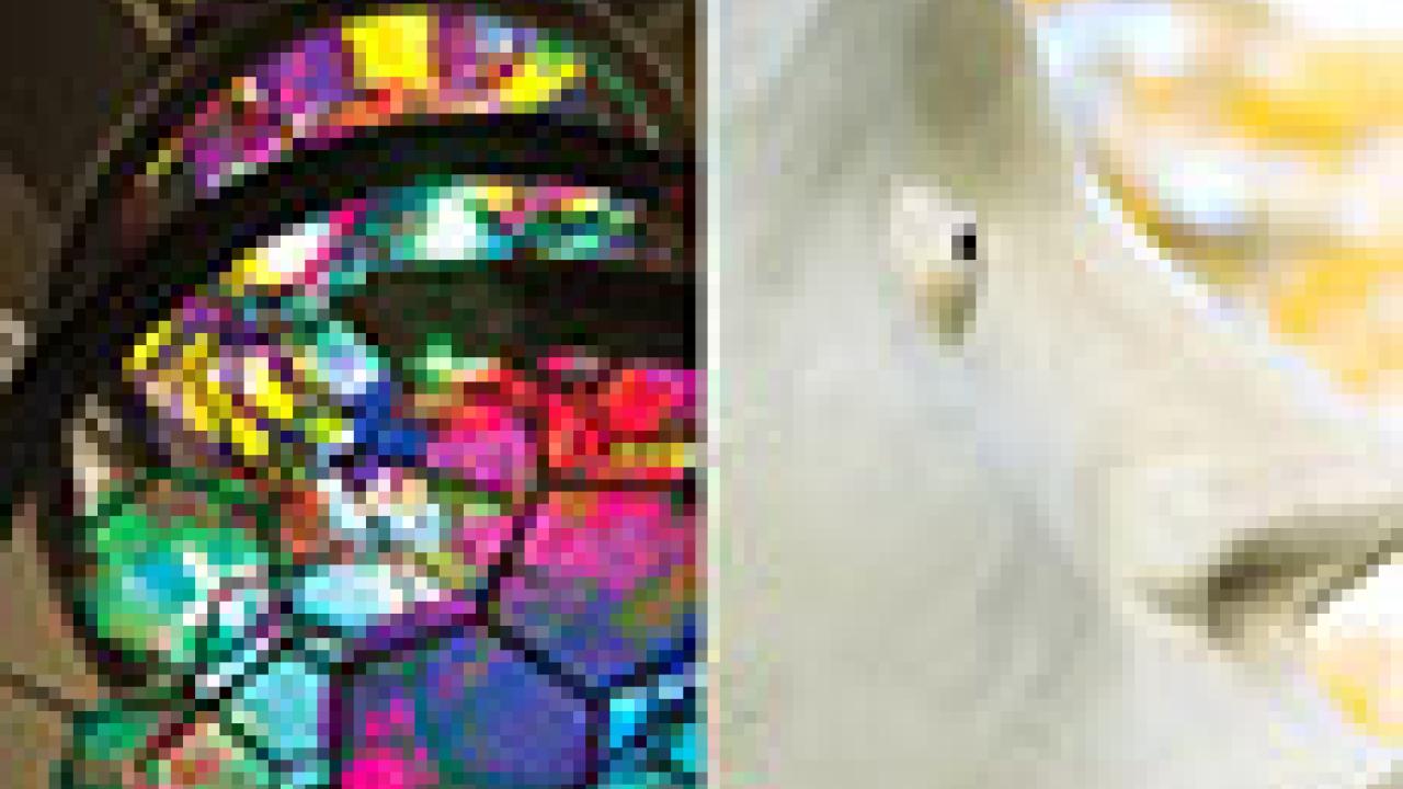 Graphic: DNA model and Egghead on catalog cover