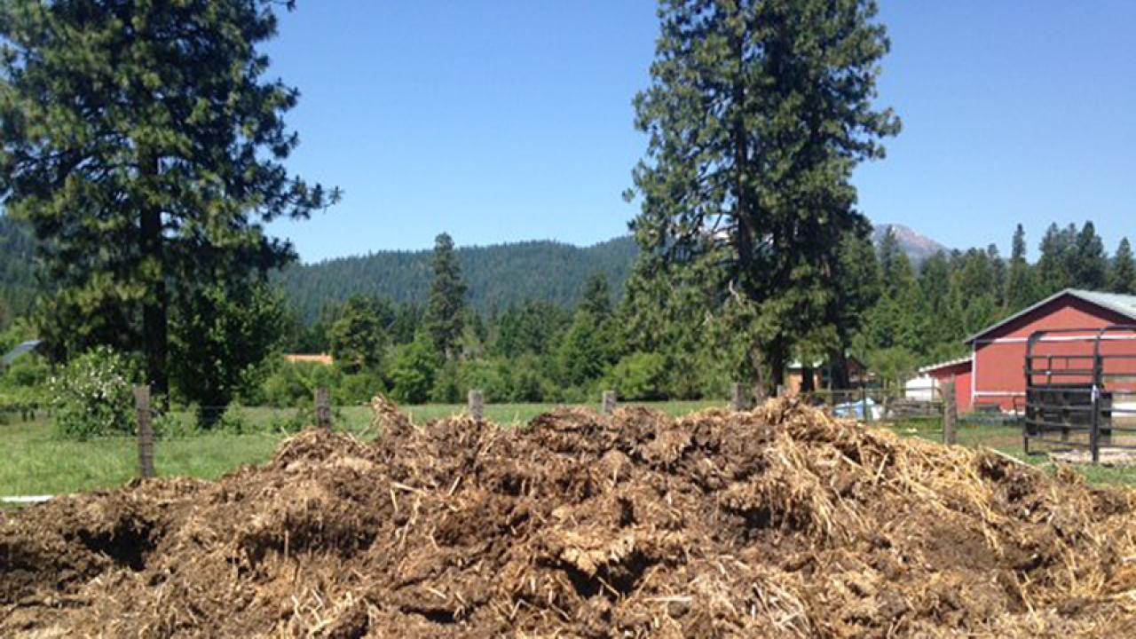 Pile of cattle manure in front of field and barn