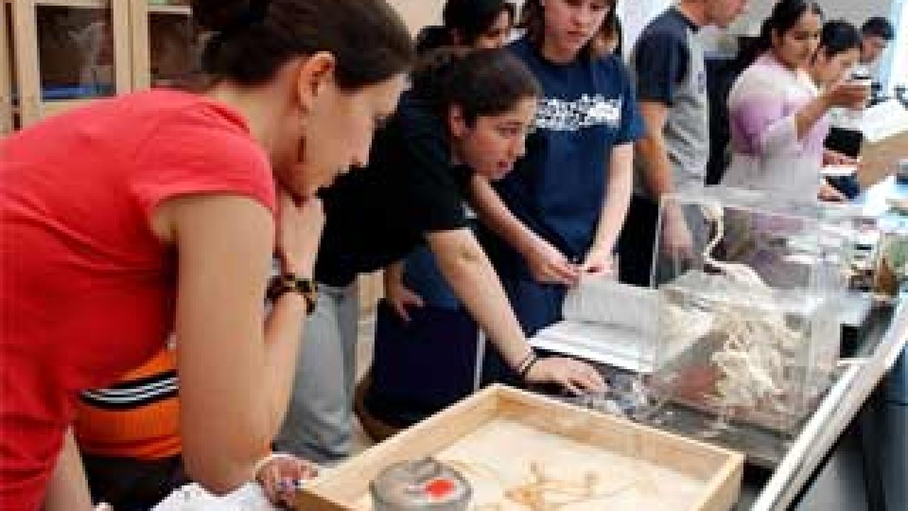 Photo: Row of students working at tables filled with skeletons
