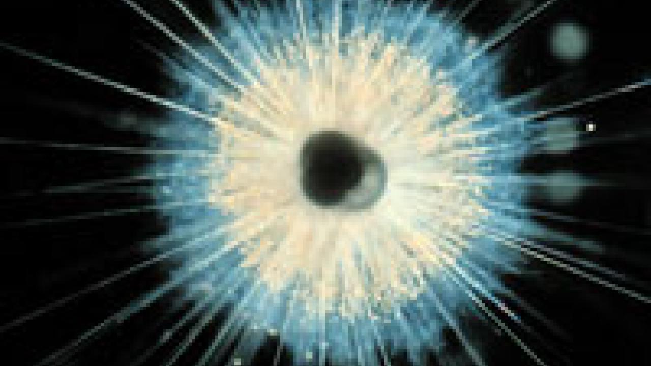 At left is a microscopic view of the sea animal used in Spero&rsquo;s team study.