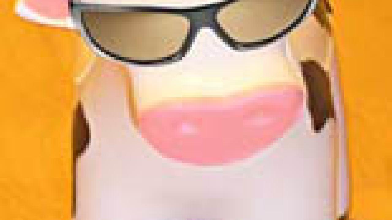 Cow with sunglasses on.