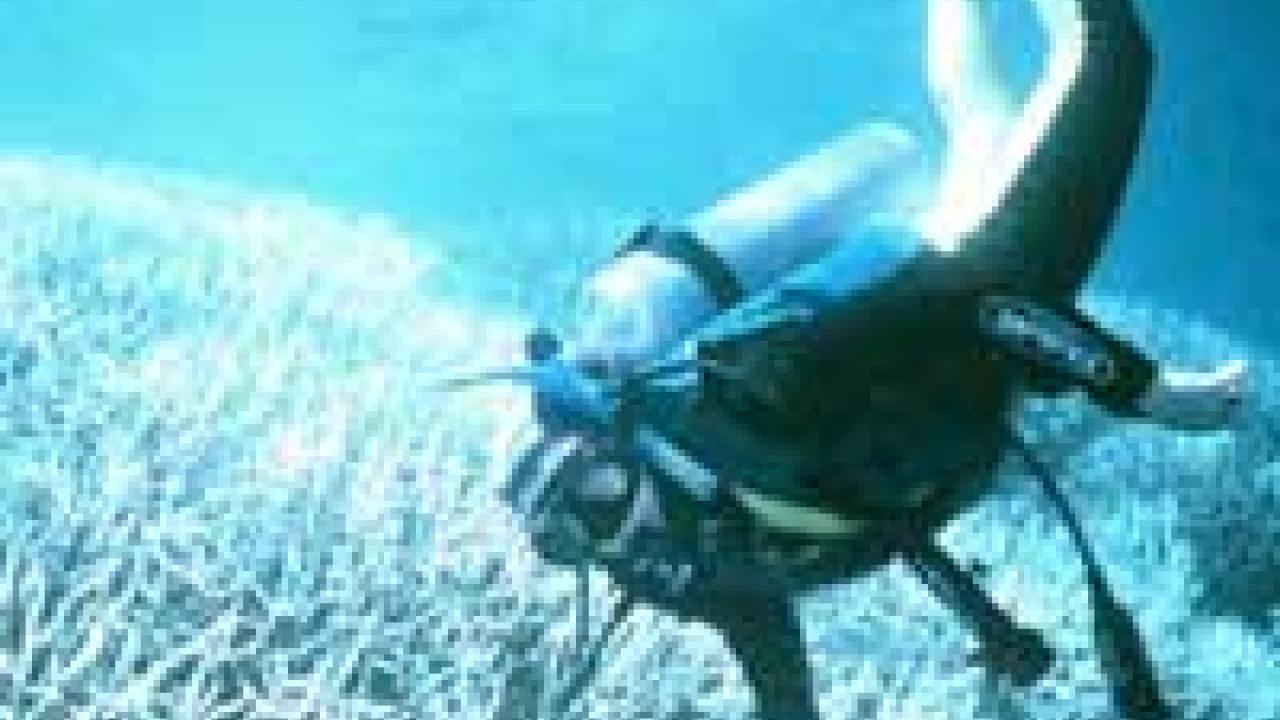 Underwater photo of diver in coral reef.