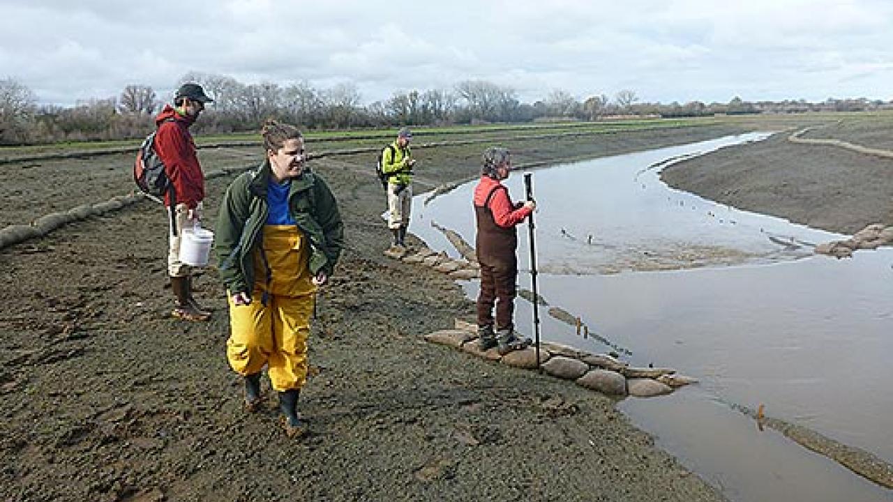 Four people in waders standing in mud near a stream