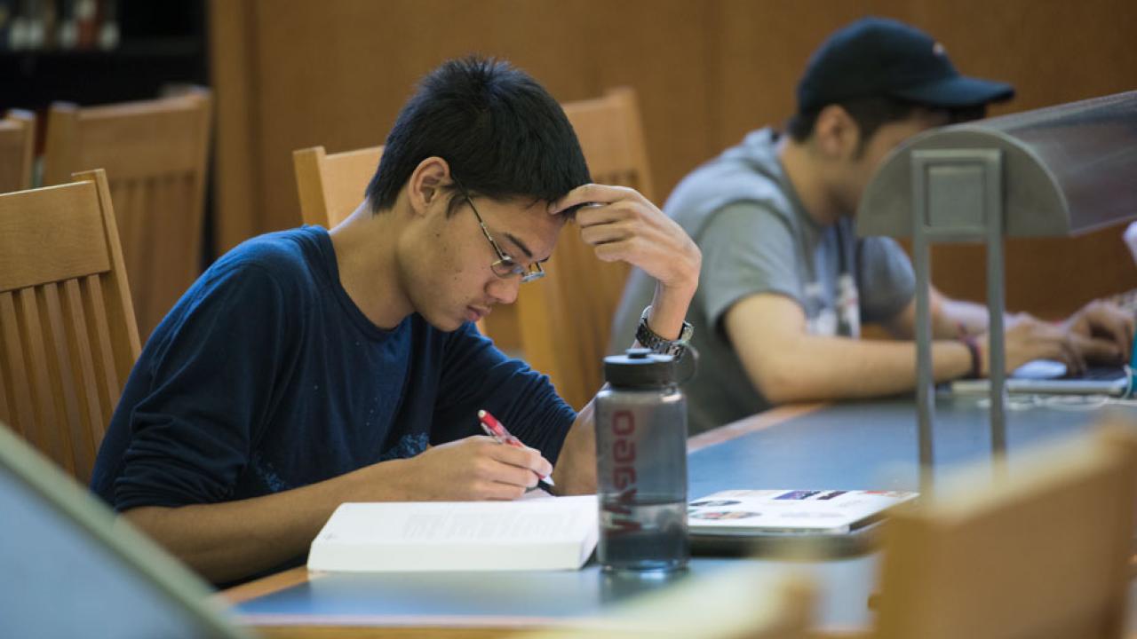 A student pores over a book in Shields Library.