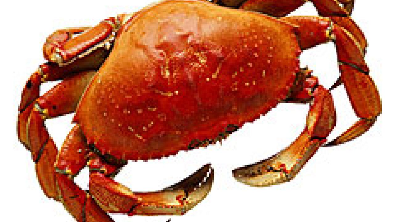 photo: crab