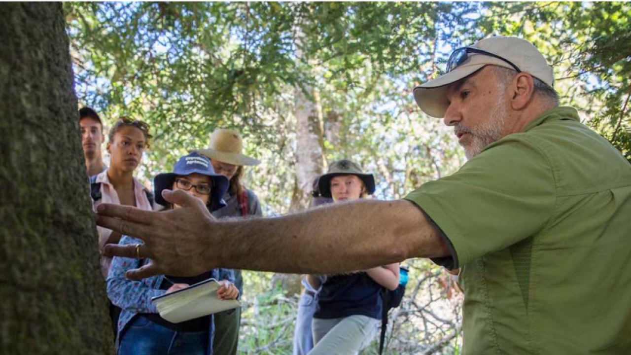 Dave Rizzo points at tree, in field class with students