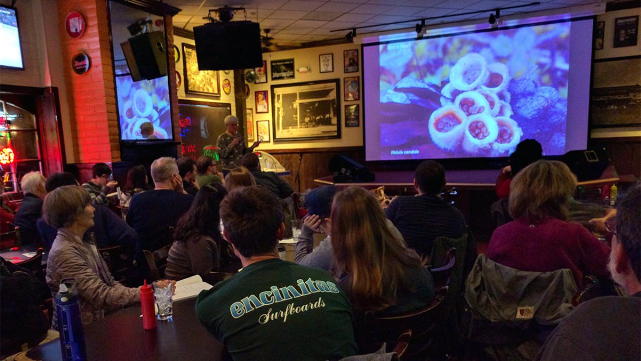 A speaker at Davis Science Cafe. 