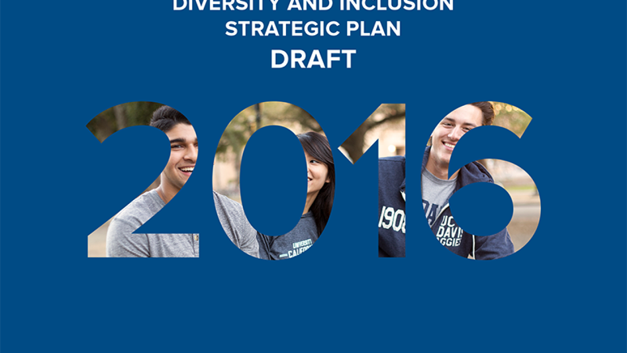 The cover for the Diversity and Inclusion Strategic Plan draft.