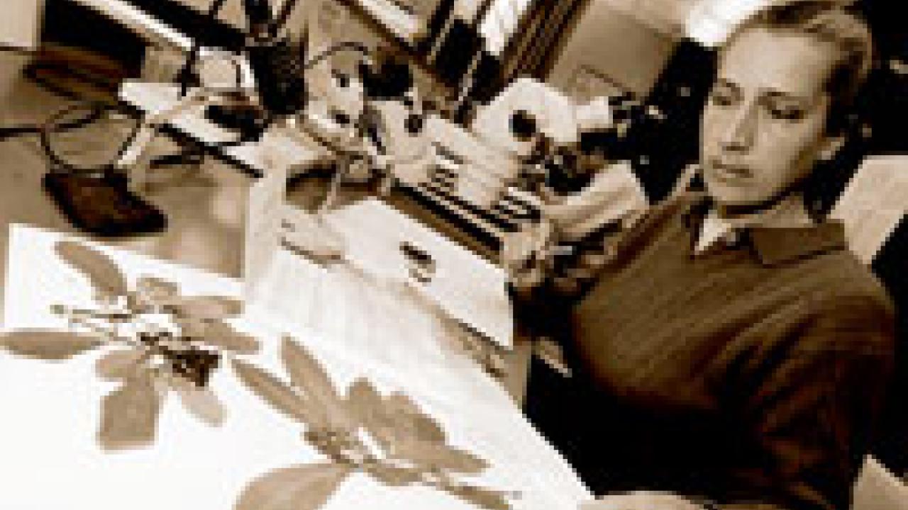 photo of Director Ellen Dean working with specimens at the UC Davis Herbarium