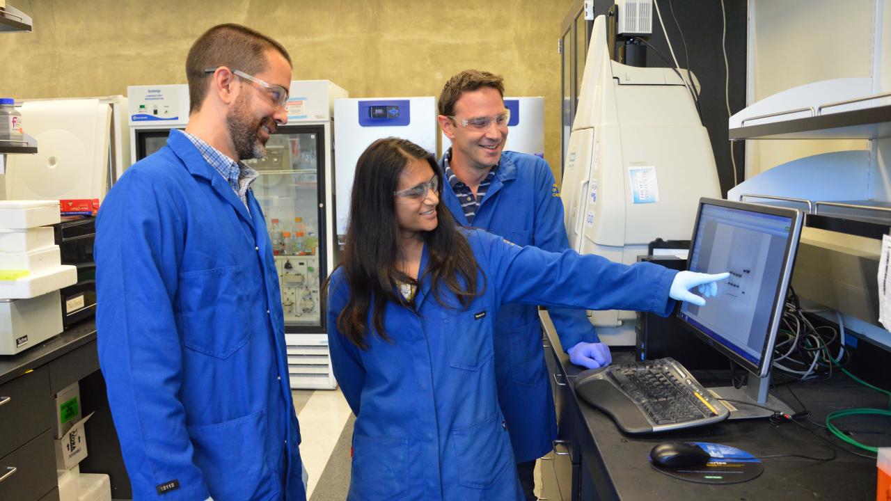 Researchers reviewing their work