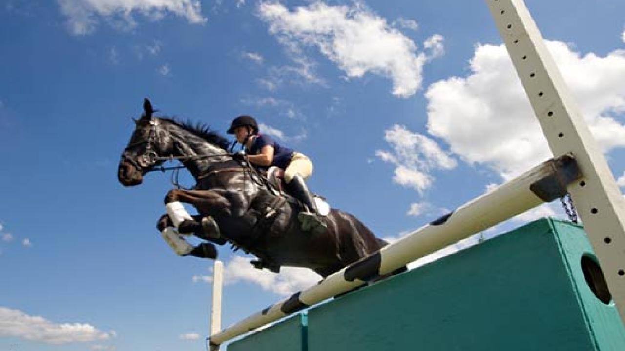Woman jumping a horse