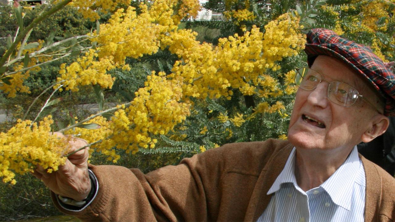 Eric Conn, environmental portrait with blooming acacia (yellow)