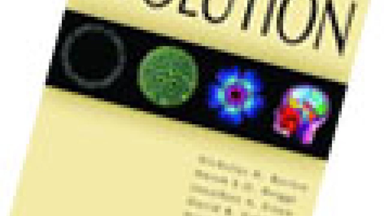 Photo: "Evolution" book cover