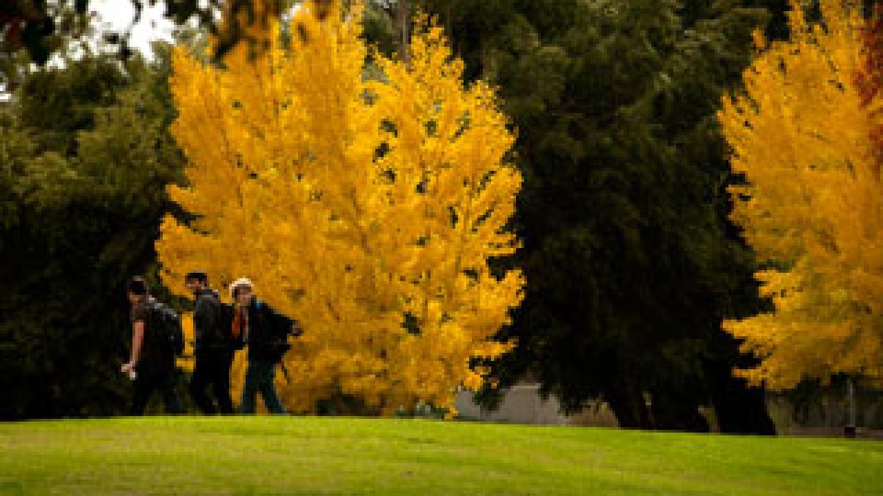 fall colors and students