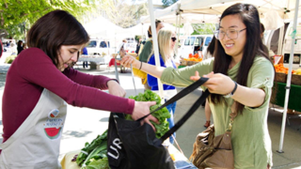 Vendor and customer at a farmers market.
