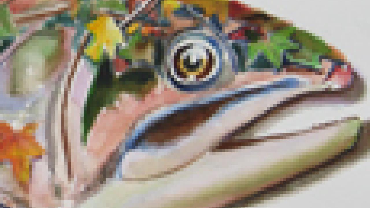 Image: Peter Shahrokh's watercolor Trout (cropped)