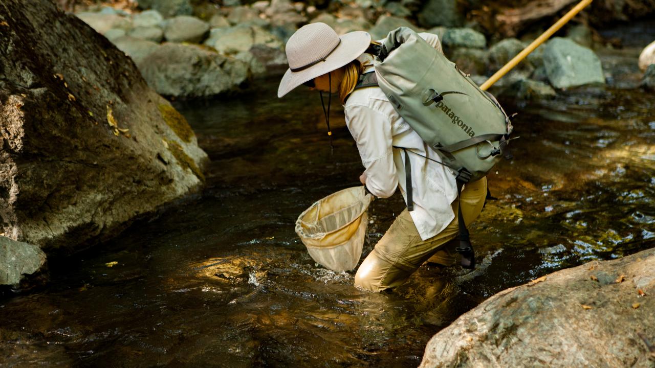Woman sampling for fish