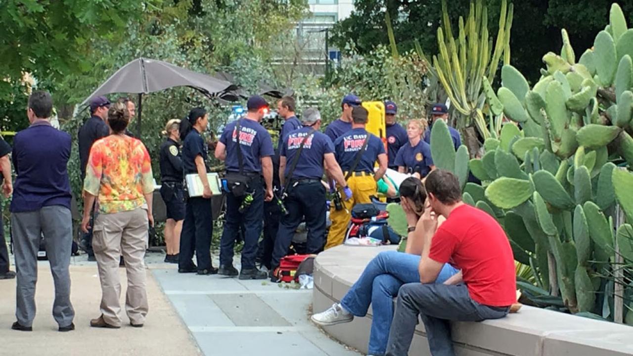 Firefighters surround victim mof tree branch at Student Community Center.