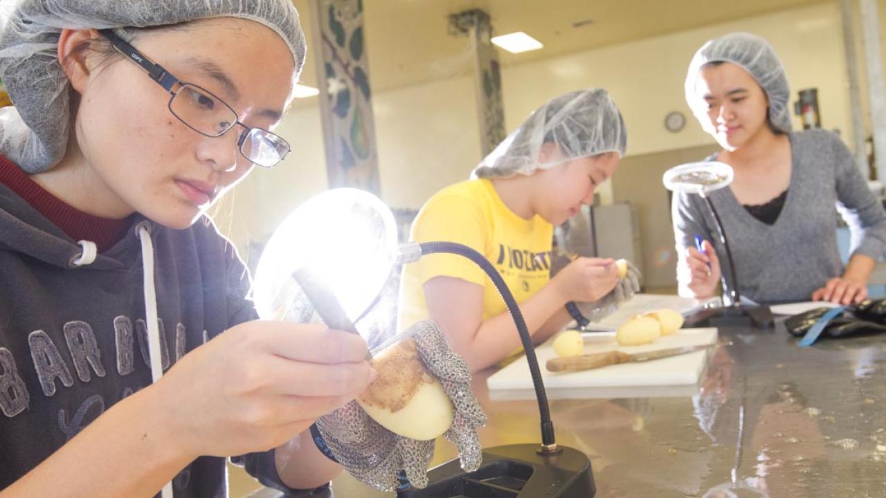 Woman in lab inspecting a potato