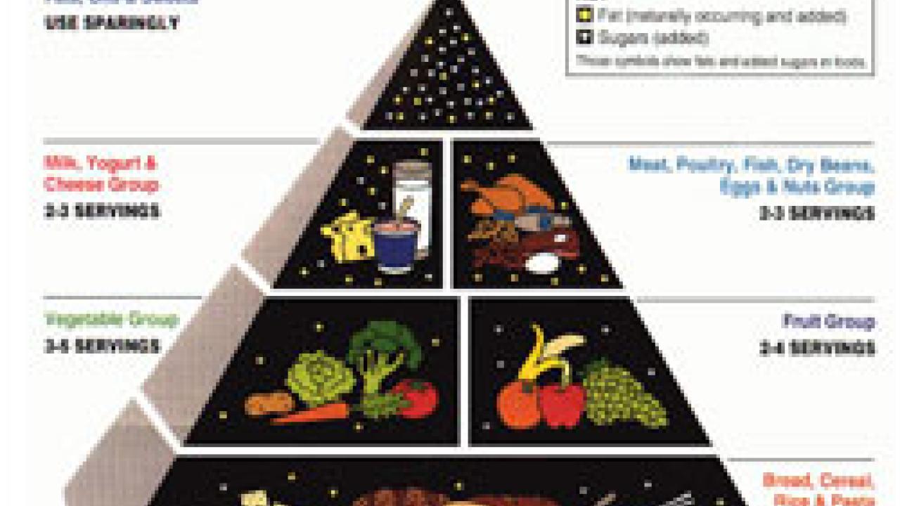 Federal Web sites launched this month with the help of alumna Ann Veneman also links to information on the familiar Food Guide Pyramid, which, based on new research, is undergoing revision and will be re-released in the spring.