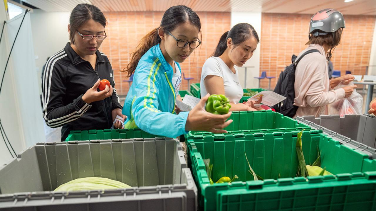Three female students pick produce out of bins.