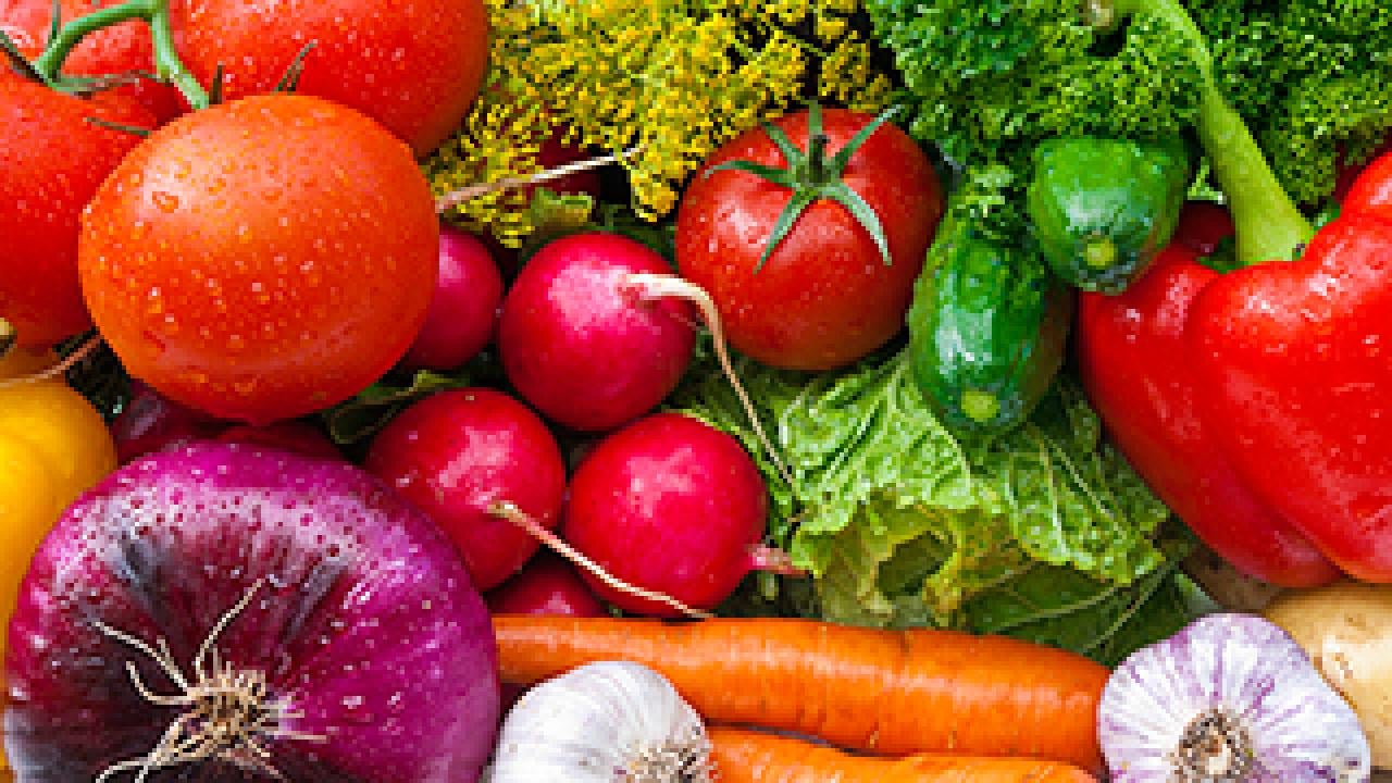 A variety of fruits and vegetables including tomatoes, onions, parsley, carrots, bell peppers