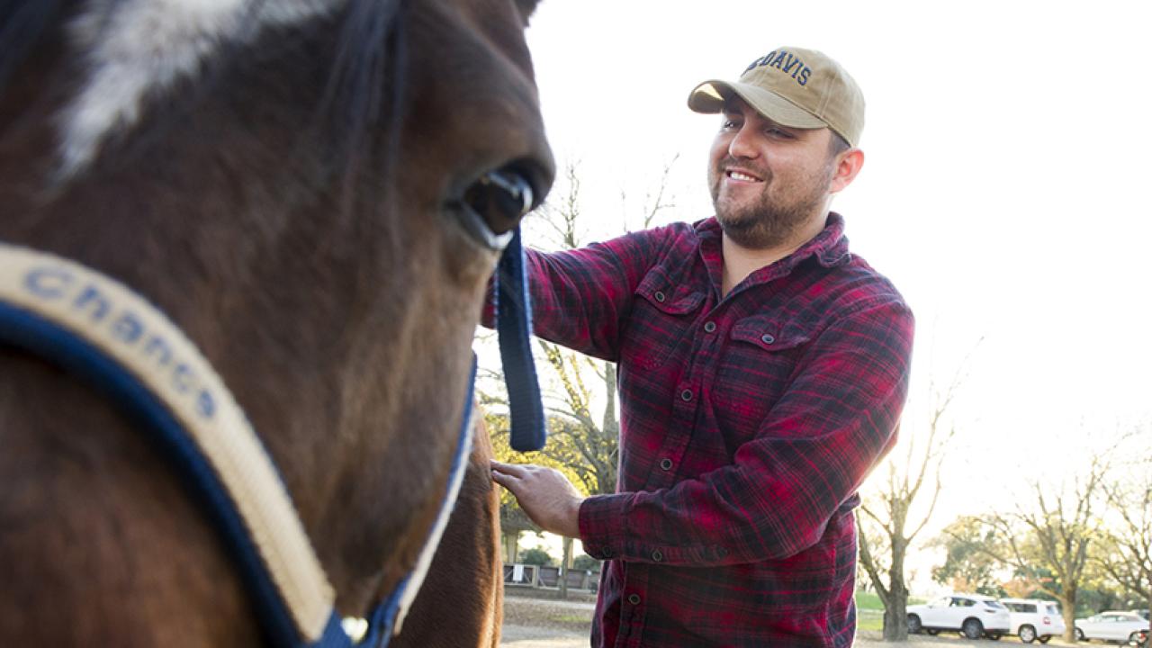 A man brushes a horse