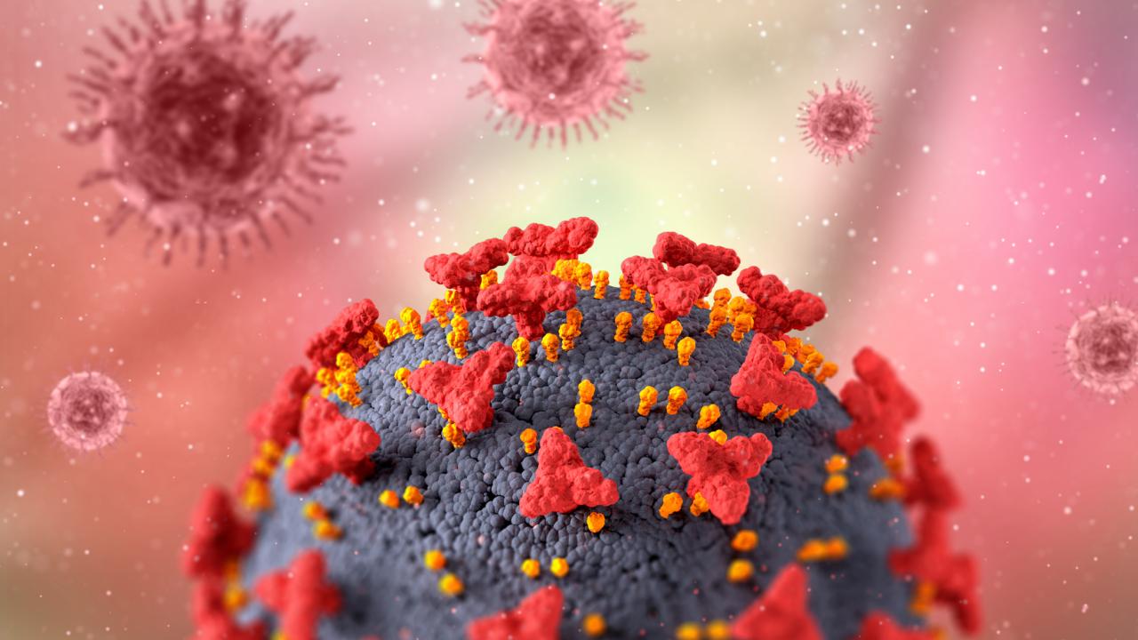 Virus image