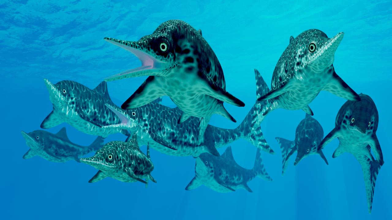 Ichthyosaurs and other marine reptiles invaded the oceans after the Permian mass extinction. (Cory Ford/Getty Images)
