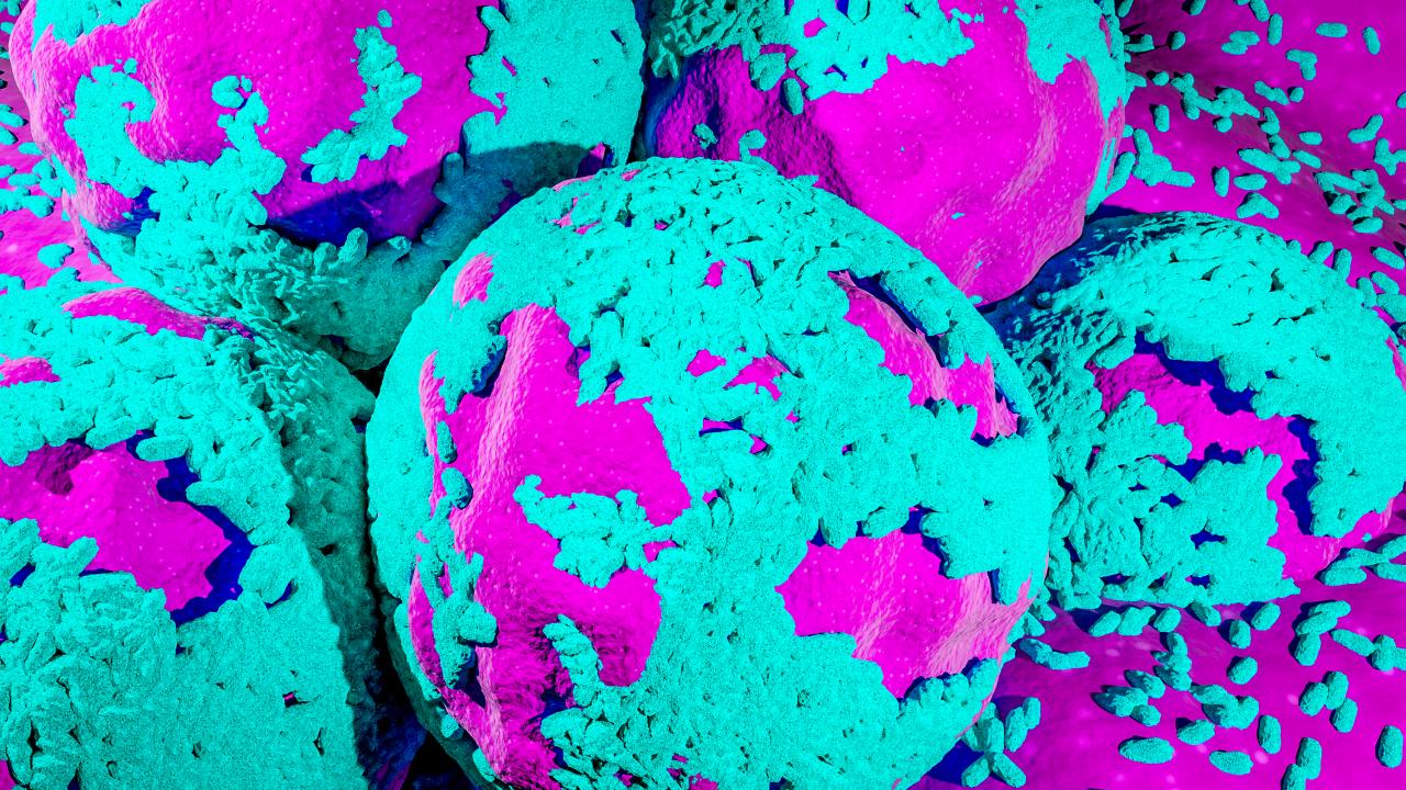 Cancer cells concept